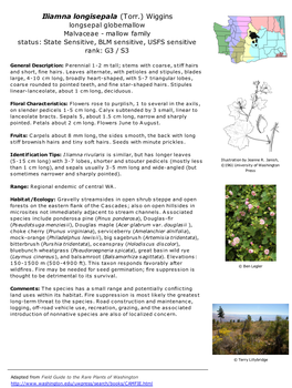 Iliamna Longisepala (Torr.) Wiggins Longsepal Globemallow Malvaceae - Mallow Family Status: State Sensitive, BLM Sensitive, USFS Sensitive Rank: G3 / S3