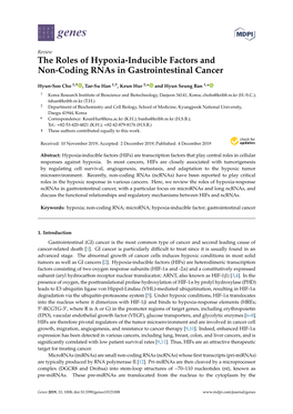 The Roles of Hypoxia-Inducible Factors and Non-Coding Rnas in Gastrointestinal Cancer