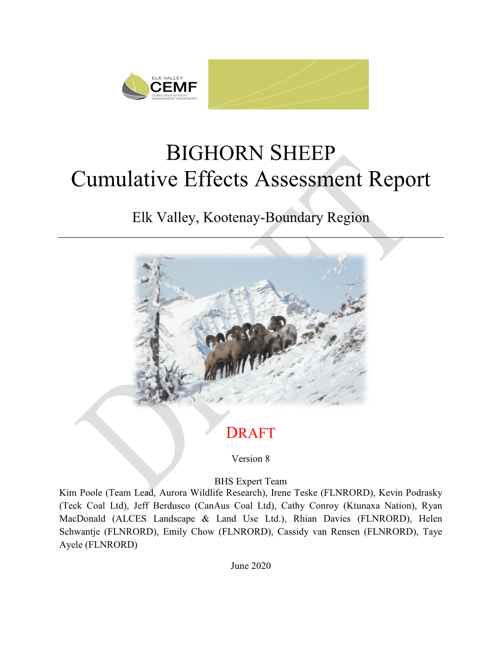 Cumulative Effects Assessment Report