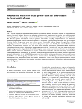 Mitochondrial Maturation Drives Germline Stem Cell Differentiation in Caenorhabditis Elegans