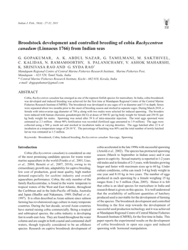 Broodstock Development and Controlled Breeding of Cobia Rachycentron Canadum (Linnaeus 1766) from Indian Seas
