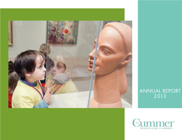 Annual Report 2013 from the Director & Board Chair