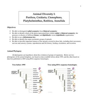 Porifera, Cnidaria, Ctenophora, Platyhelminthes, Rotifera, Annelida
