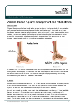 Achilles Tendon Rupture: Management and Rehabilitation Introduction the Achilles Tendon (Or Heel Cord) Is the Largest Tendon in the Human Body