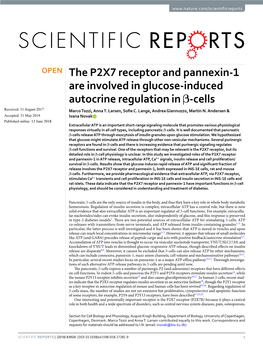 The P2X7 Receptor and Pannexin-1 Are Involved in Glucose-Induced Autocrine Regulation in Β-Cells Received: 31 August 2017 Marco Tozzi, Anna T