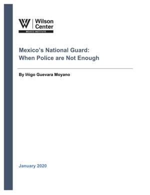 Mexico's National Guard: When Police Are Not Enough