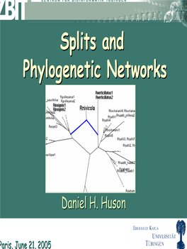 Splits and Phylogenetic Networks