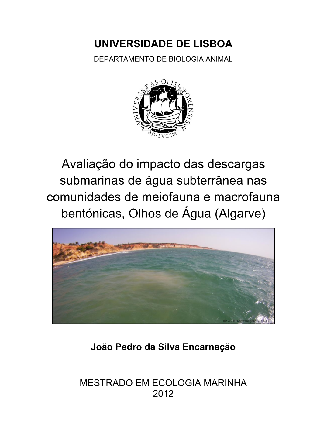 Avaliação Do Impacto Das Descargas Submarinas De Água Subterrânea Nas Comunidades De Meiofauna E Macrofauna Bentónicas, Olhos De Água (Algarve)