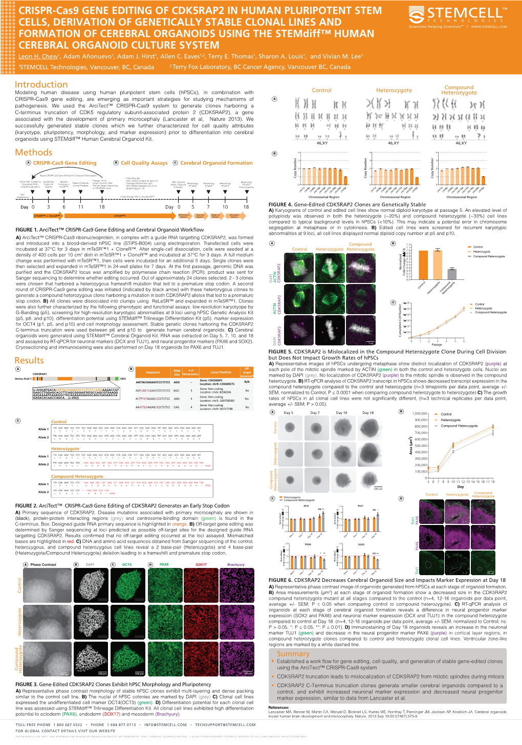 CRISPR-Cas9 GENE EDITING of CDK5RAP2 in HUMAN PLURIPOTENT STEM