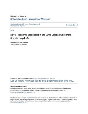 Novel Ribosome Biogenesis in the Lyme Disease Spirochete Borrelia Burgdorferi