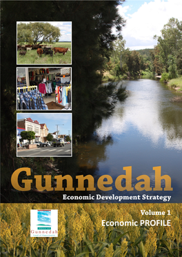 Gunnedah Economic Development Strategy Volume 1.Pdf