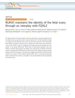 RUNX1 Maintains the Identity of the Fetal Ovary Through an Interplay with FOXL2