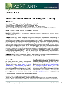 Biomechanics and Functional Morphology of a Climbing Monocot
