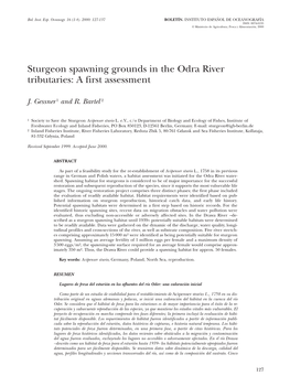 Sturgeon Spawning Grounds in the Odra River Tributaries: a First Assessment