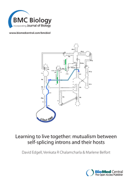 Mutualism Between Self‑Splicing Introns and Their Hosts