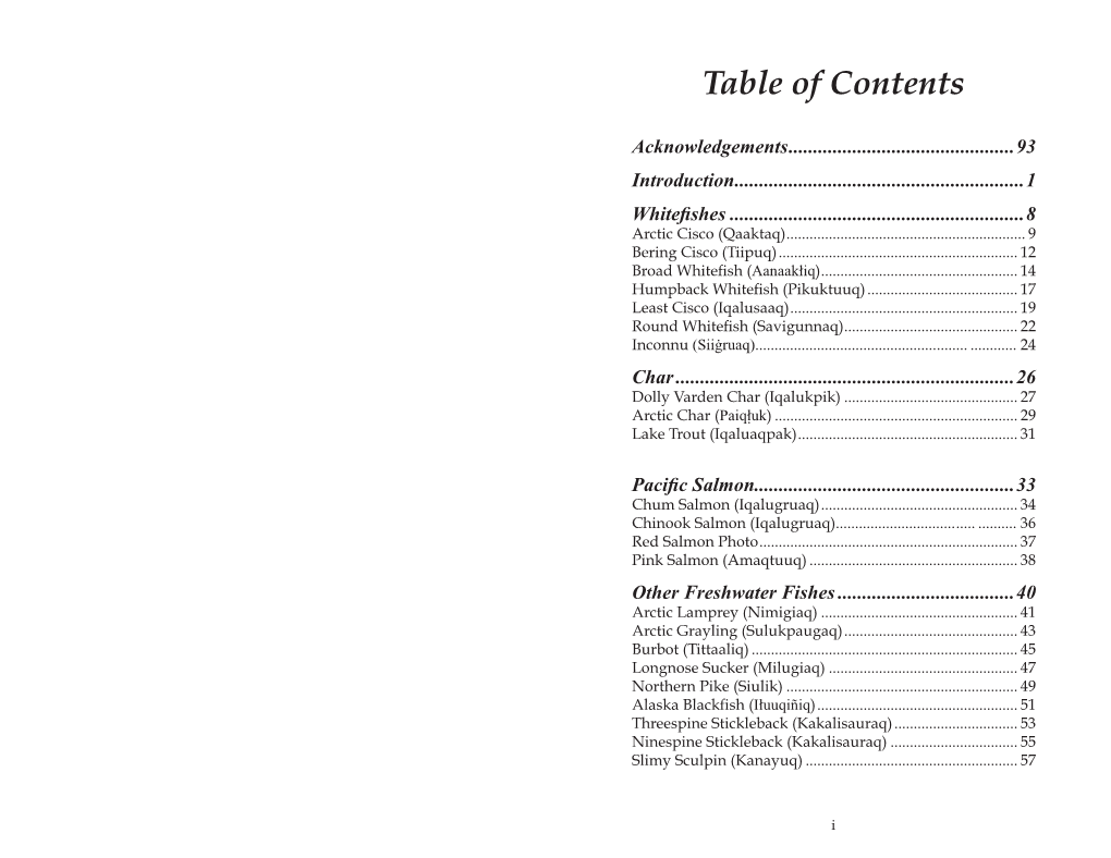 Table of Contents