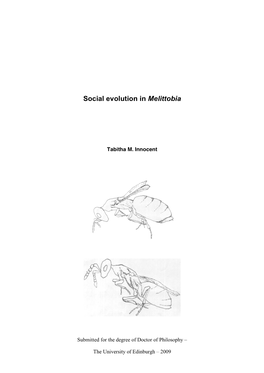 Social Evolution in Melittobia