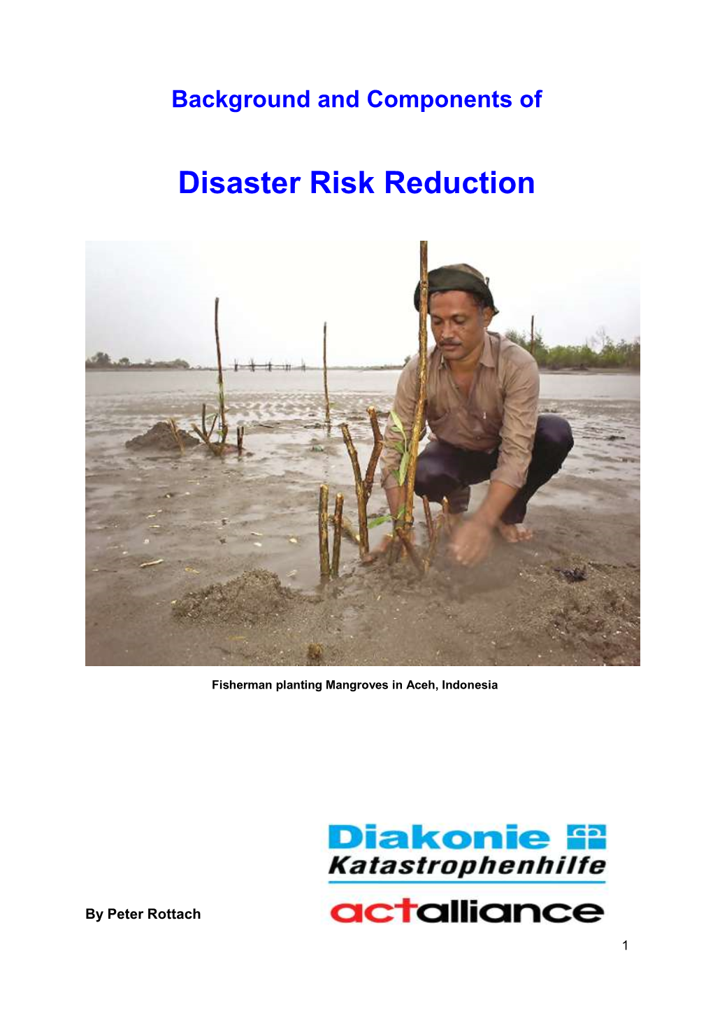 Disaster Risk Reduction