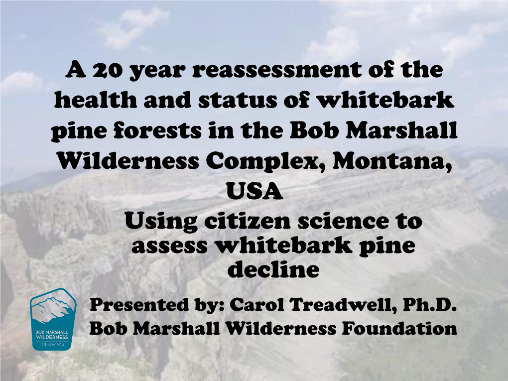 The Decline of Whitebark Pine in the Bob Marshall Wilderness