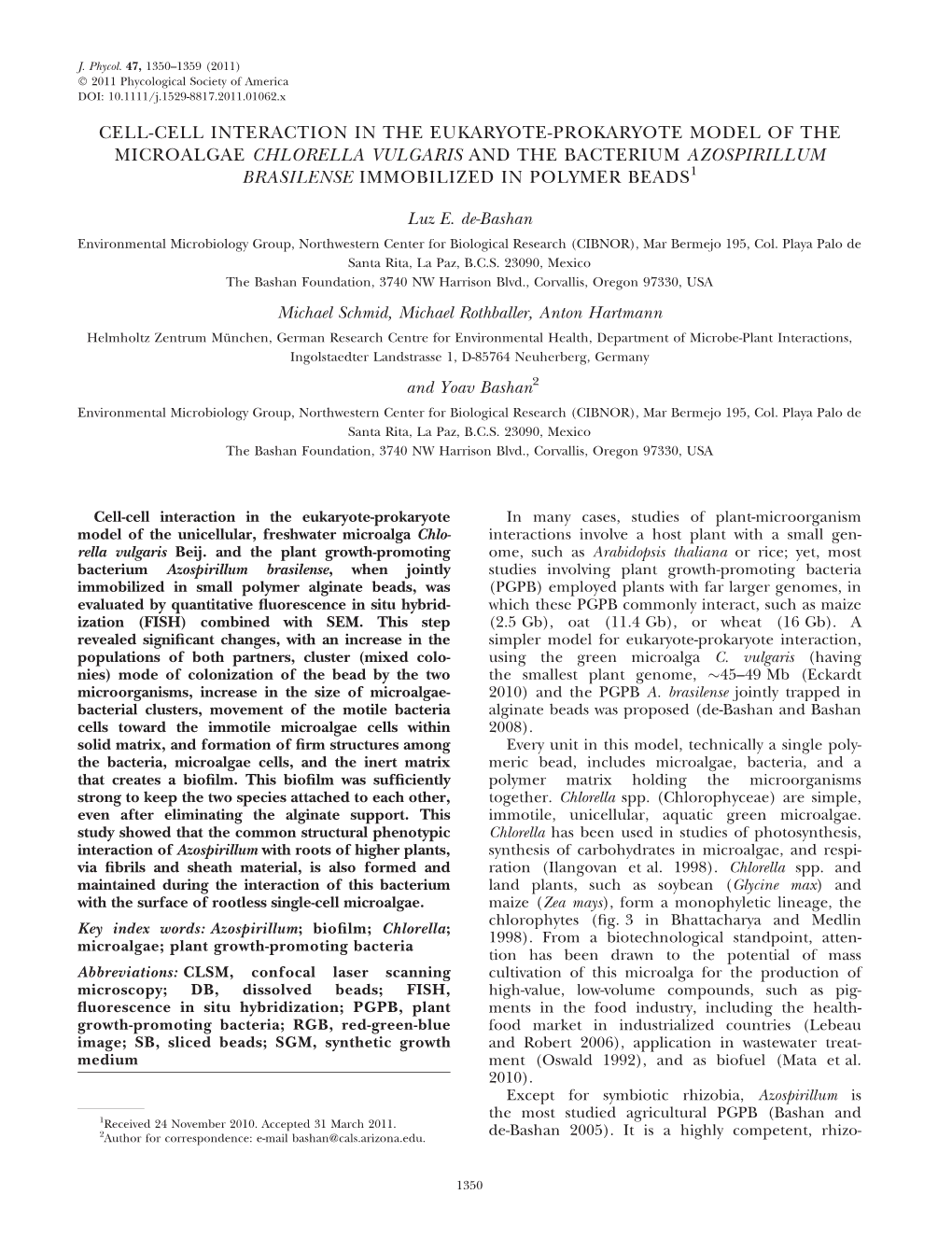 Cell-Cell Interaction in the Eukaryote-Prokaryote Model of the Microalgae Chlorella Vulgaris and the Bacterium Azospirillum Brasilense Immobilized in Polymer Beads1