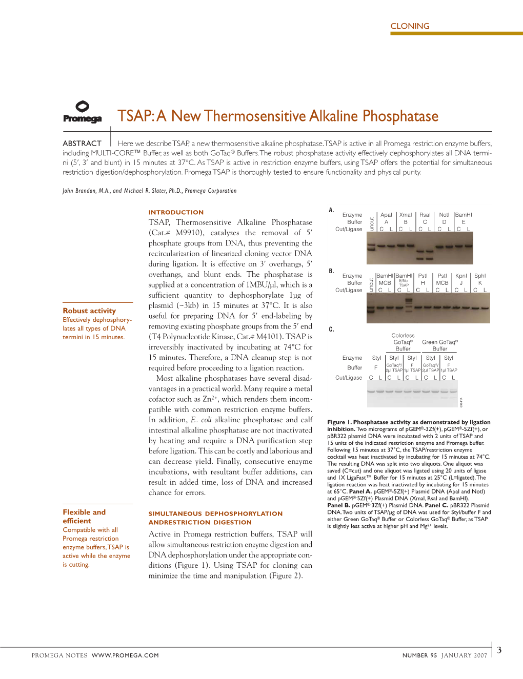 Promega Notes 95: TSAP: a New Thermosensitive Alkaline Phosphatase