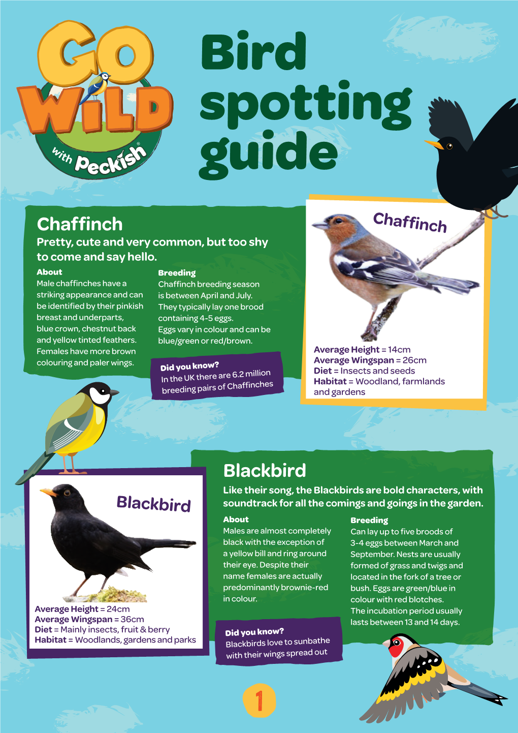 Bird Spotting Guide