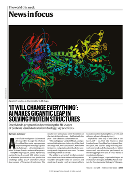 News in Focus EDWARD KINSMAN/SPL EDWARD a Protein’S Function Is Determined by Its 3D Shape