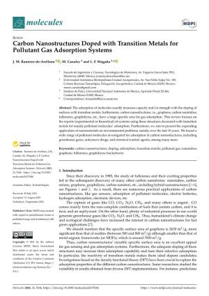 Carbon Nanostructures Doped with Transition Metals for Pollutant Gas Adsorption Systems