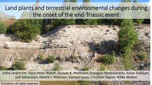 Land Plants and Terrestrial Environmental Changes During the Onset of the End-Triassic Event