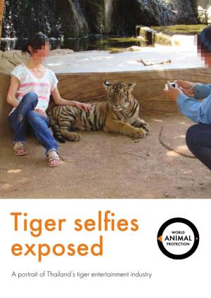 Tiger Selfies Exposed: a Portrait of Thailand's Tiger Entertainment Industry