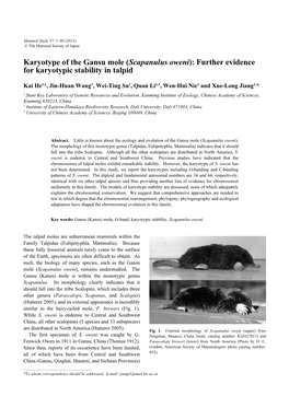 Scapanulus Oweni): Further Evidence for Karyotypic Stability in Talpid