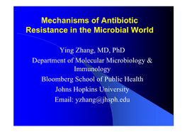 Antibiotic Resistance in the Microbial World