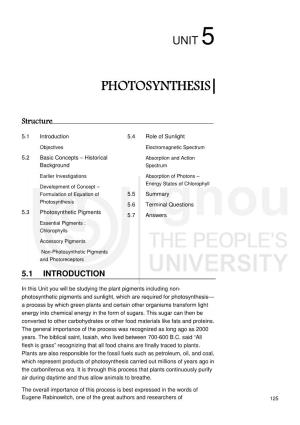 Photosynthesis Photosynthesis