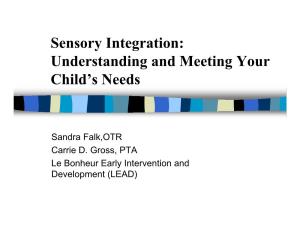 Sensory Integration: Understanding and Meeting Your Child’S Needs