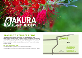 PLANTS to ATTRACT BIRDS Paierau Rd (Bypass) Trees and Shrubs Can Provide Shelter, Food, and Nesting Places for Birds