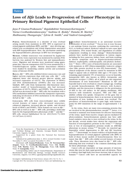 Loss of Hfe Leads to Progression of Tumor Phenotype in Primary Retinal Pigment Epithelial Cells