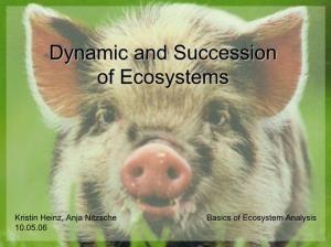Dynamic and Succession of Ecosystems