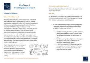 Key Stage 4 Model Organisms in Research Student Worksheet