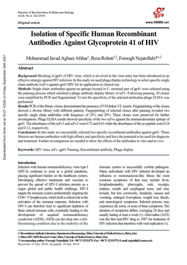 Isolation of Specific Human Recombinant Antibodies Against Glycoprotein 41 of HIV
