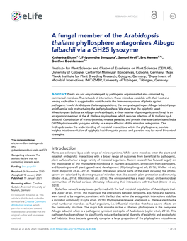 A Fungal Member of the Arabidopsis Thaliana Phyllosphere Antagonizes