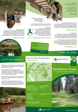 Rendlesham Forest Has Lots to Offer