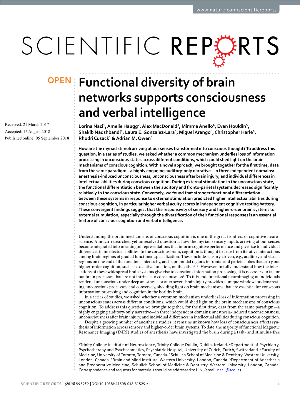 Functional Diversity of Brain Networks Supports Consciousness and Verbal