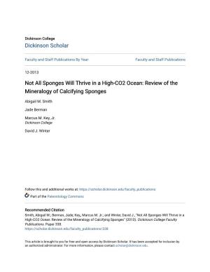 Review of the Mineralogy of Calcifying Sponges