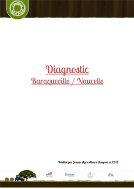 Diagnostic CLI BN
