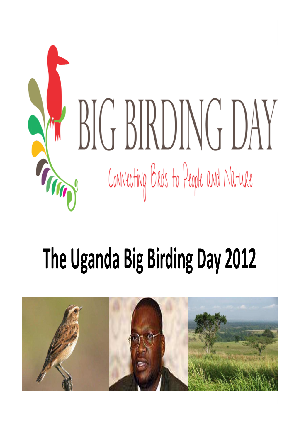 Big Birding Day 2012