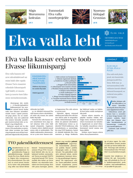 Elva Valla Kaasav Eelarve Toob Elvasse Liikumispargi