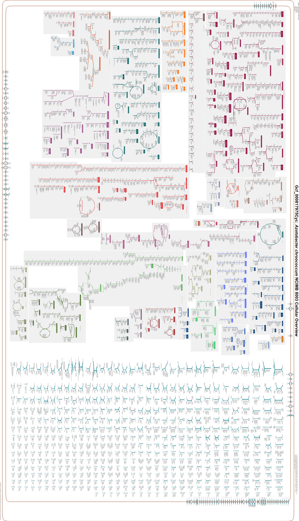 Generate Metabolic Map Poster