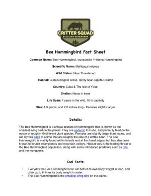 Bee Hummingbird Fact Sheet