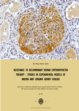 Studies in Experimental Models of Anemia and Chronic Kidney Disease