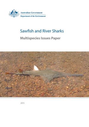 Sawfish and River Sharks- Multispecies Issues Paper